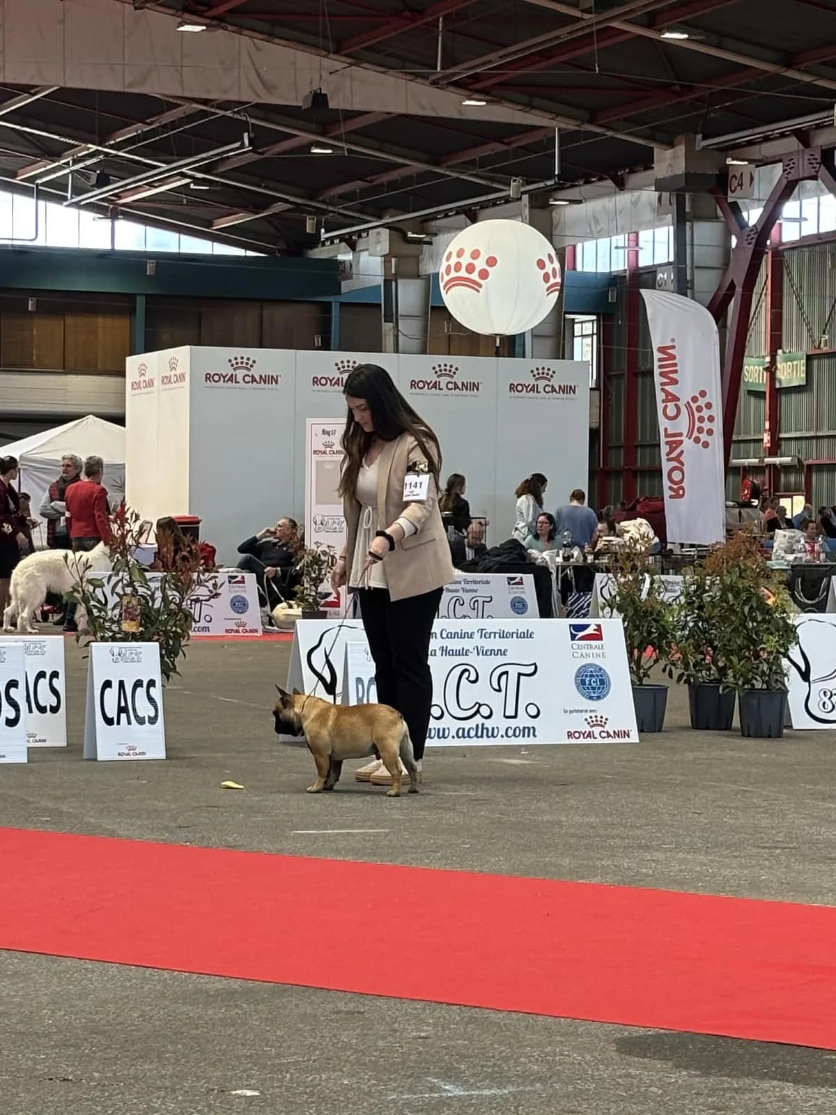 Ambiance exposition canine